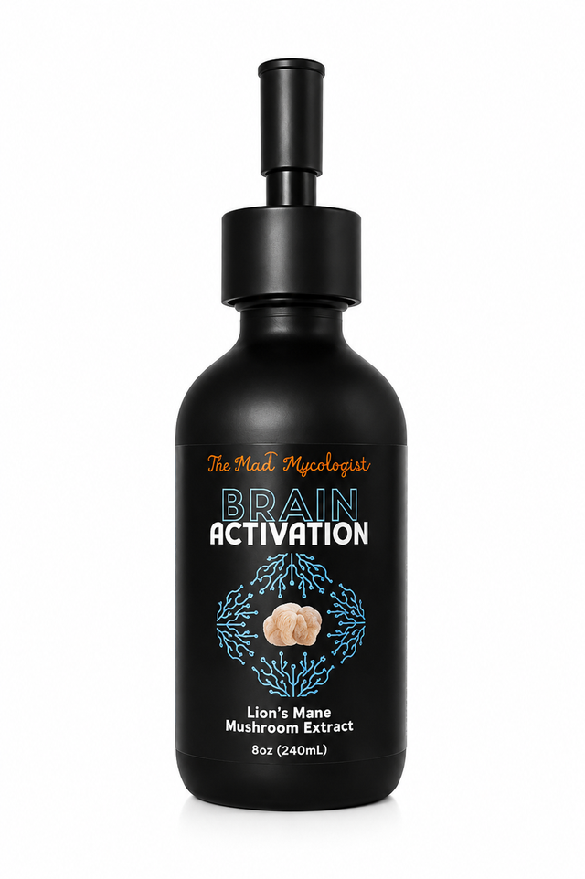 Lion's Mane Mushroom Beverages | Cognitive & Mood Support – Herban
